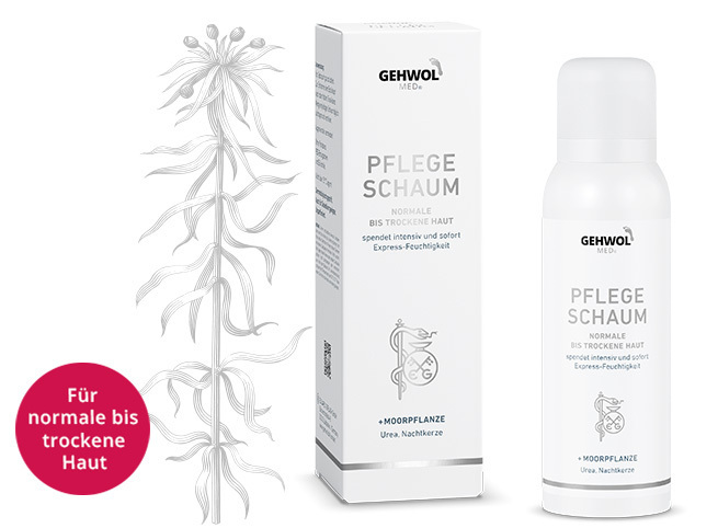 Bild_GEHWOL_MED_174__PFLEGE_SCHAUM