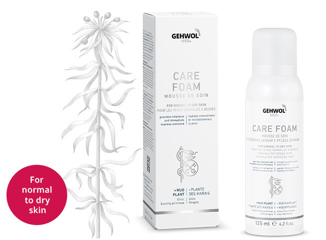 Bild_GEHWOL_MED_174__PFLEGE_SCHAUM