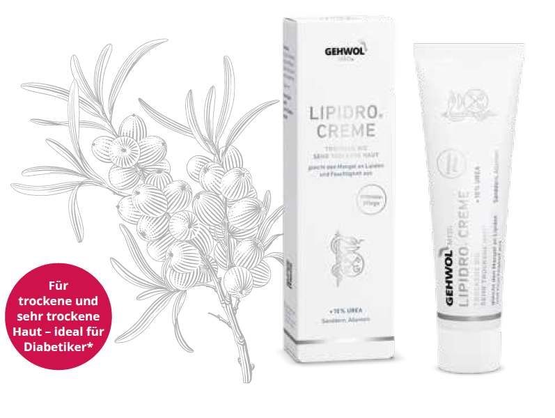 Bild_GEHWOL_MED_174__LIPIDRO_174__CREME