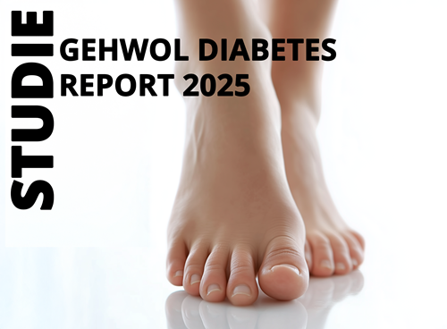 AktuellesLink_GEHWOL_Diabetes_Report_2025