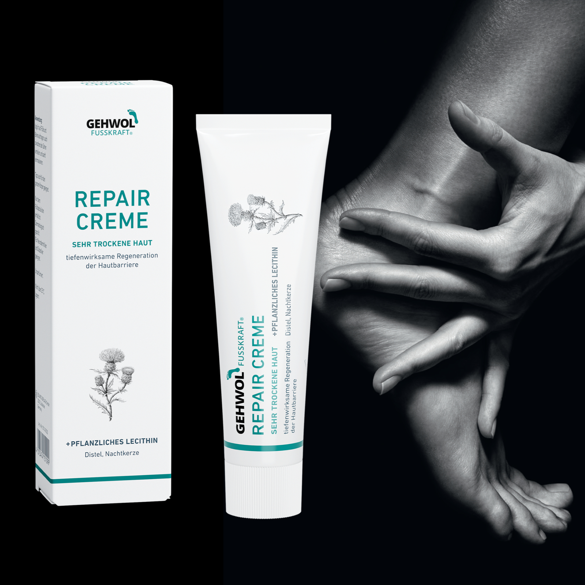 Bild_GEHWOL FUSSKRAFT Repair Creme