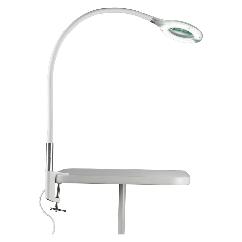 LED case magnifier lamp with adapter