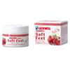 GEHWOL FUSSKRAFT Soft Feet Butter pomegranate<(>&<)>moringa 100 ml jar