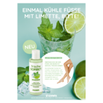 Plakat frische Sorbet