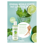 Info-Postkarte frische Sorbet