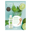 Info-Postkarte frische Sorbet 