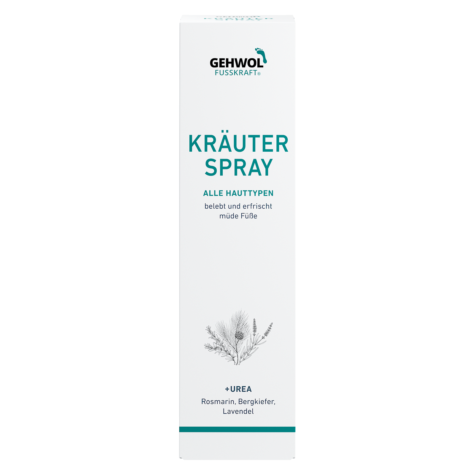 Deko-Faltschachtel GEHWOL FUSSKRAFT Kräuter Spray